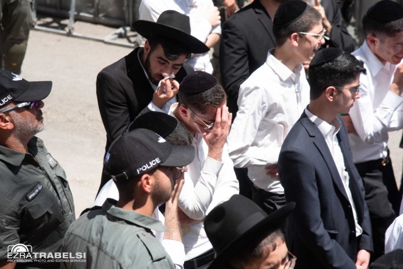 עזרא טרבלסי