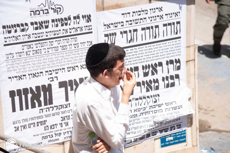 עזרא טרבלסי