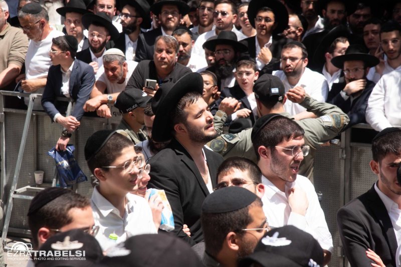 עזרא טרבלסי