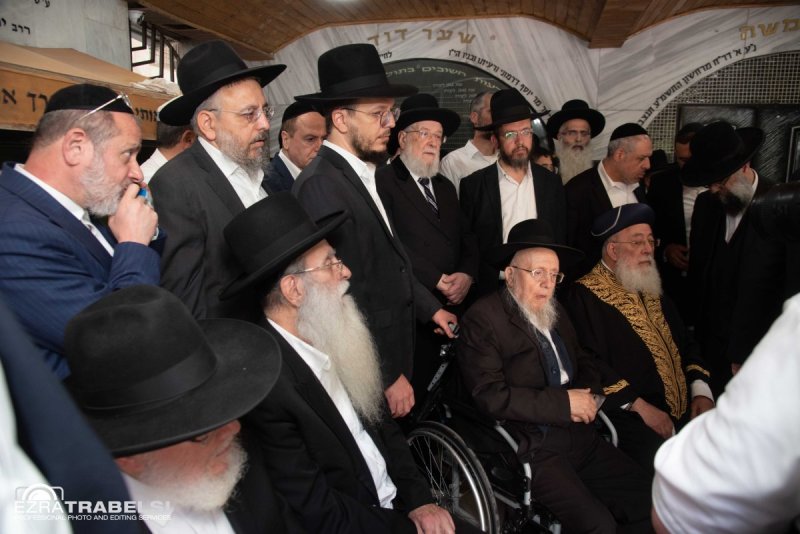 עזרא טרבלסי