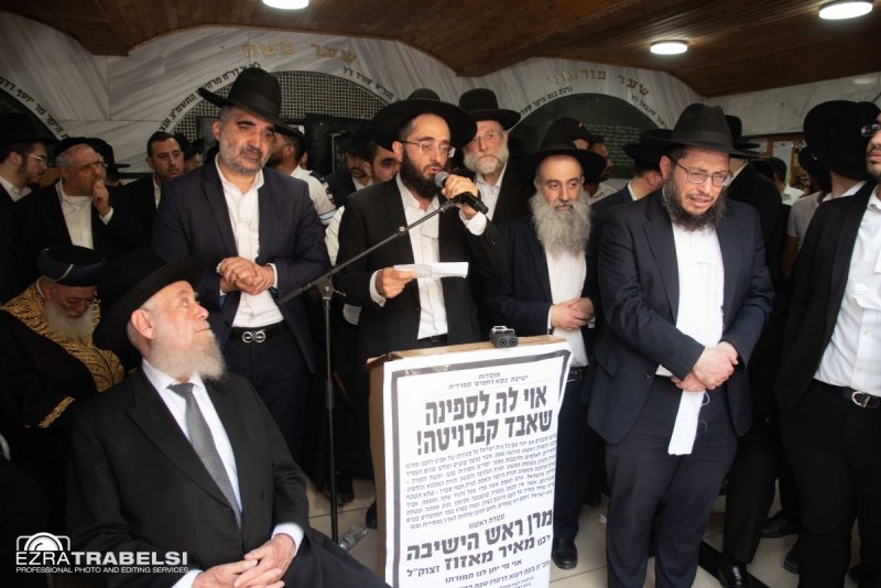 עזרא טרבלסי