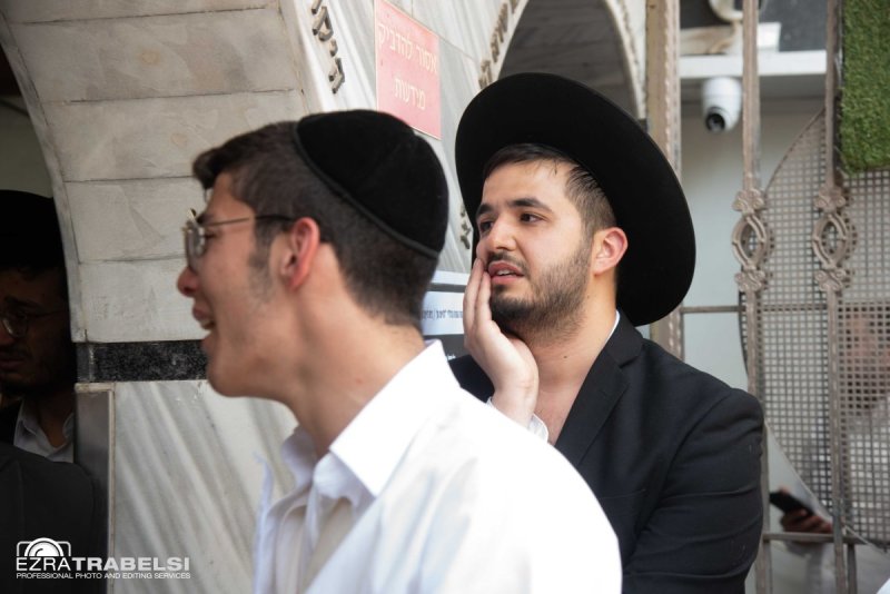 עזרא טרבלסי