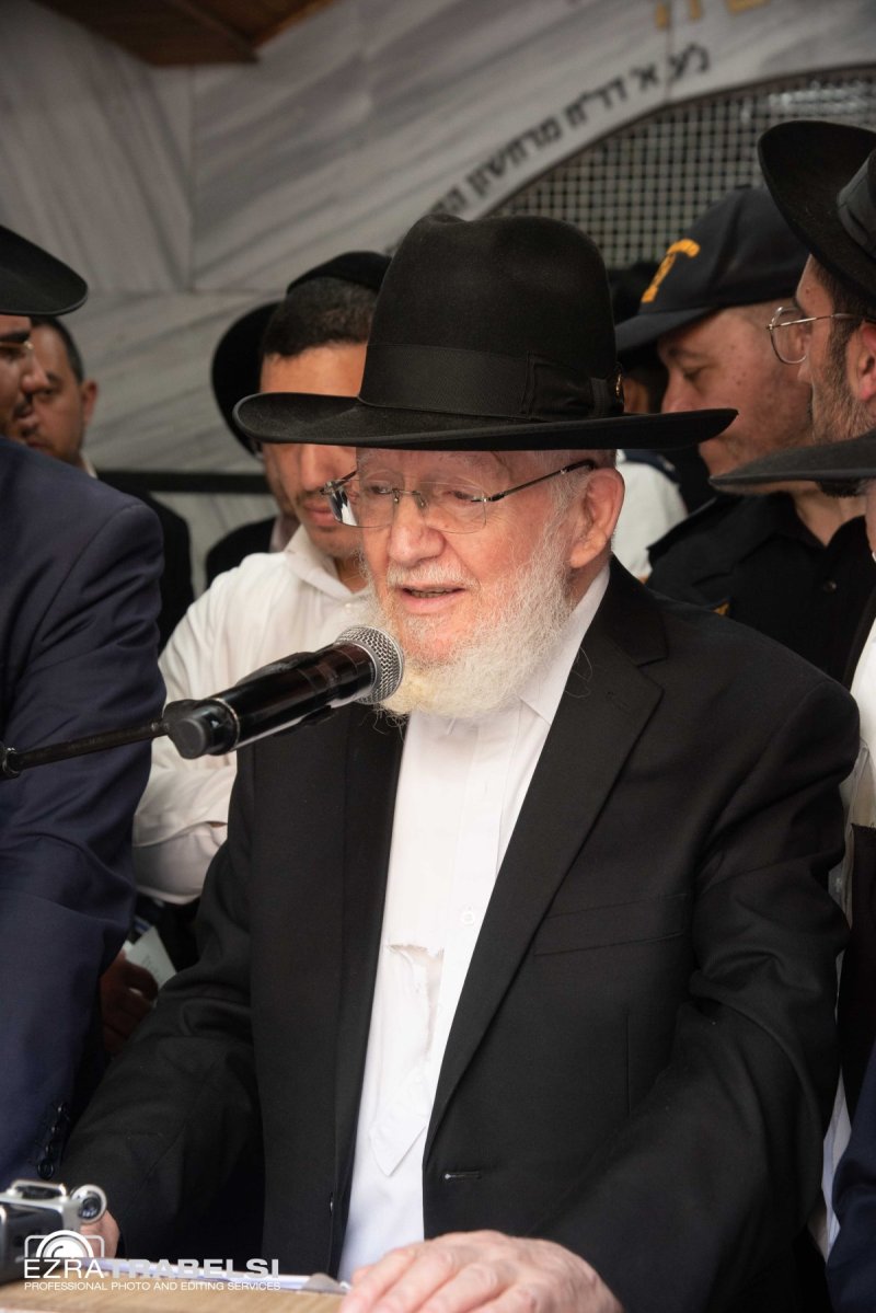 עזרא טרבלסי