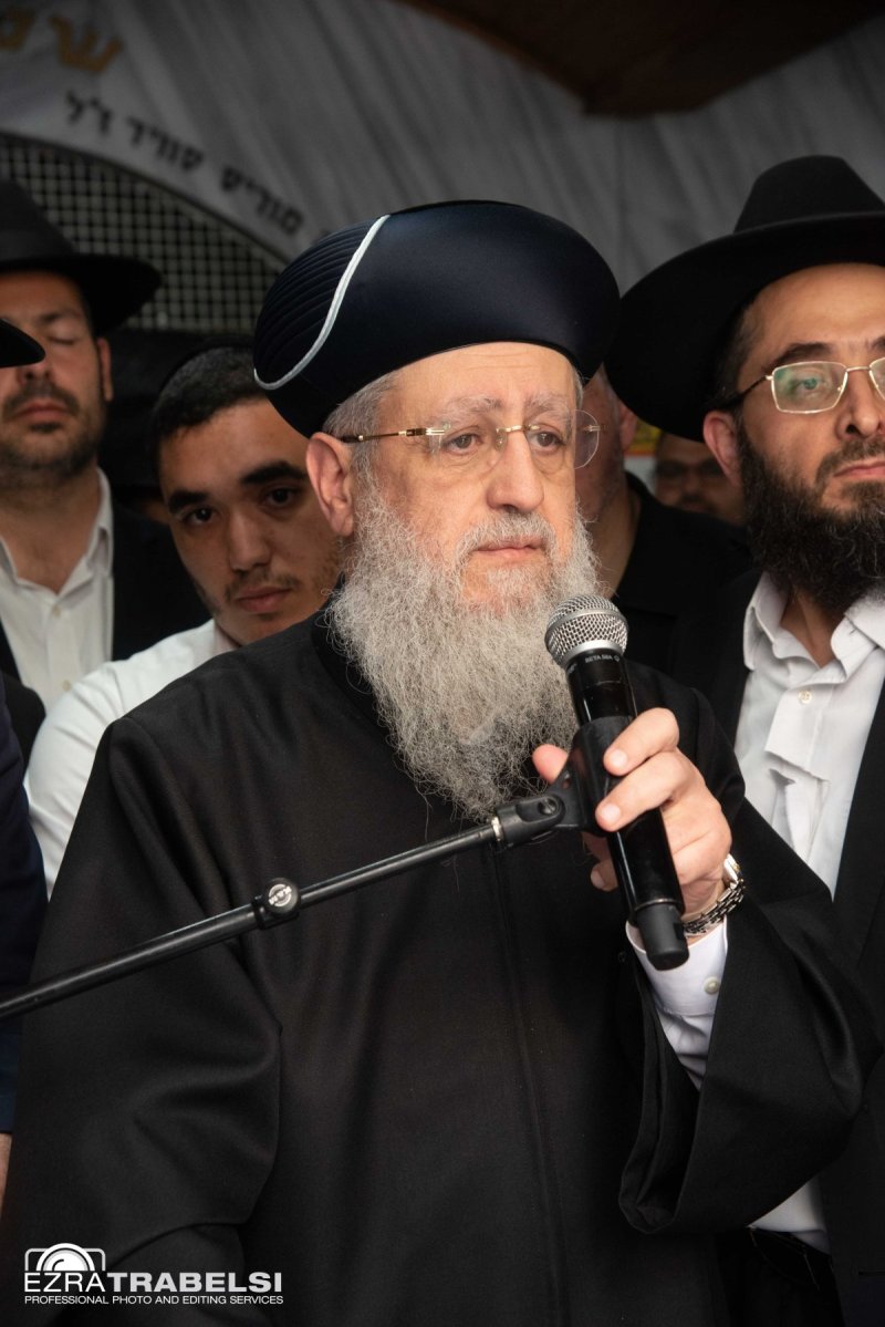 עזרא טרבלסי