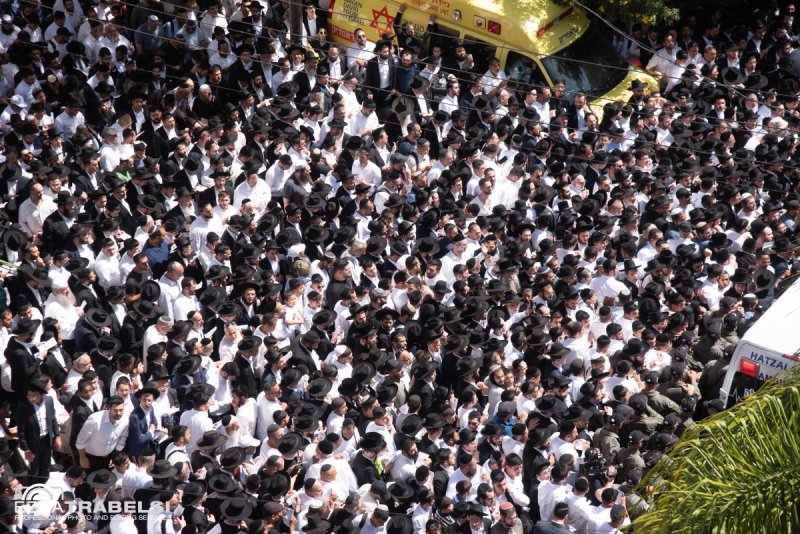 עזרא טרבלסי