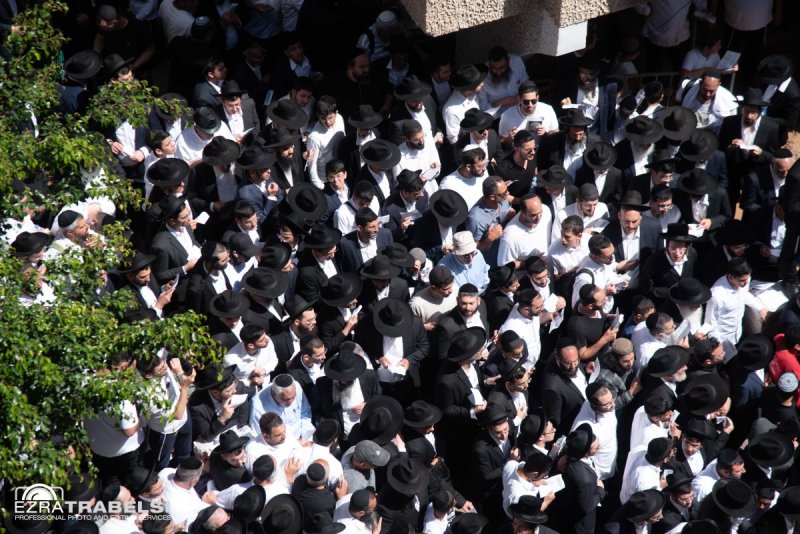 עזרא טרבלסי