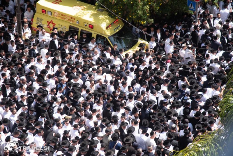 עזרא טרבלסי