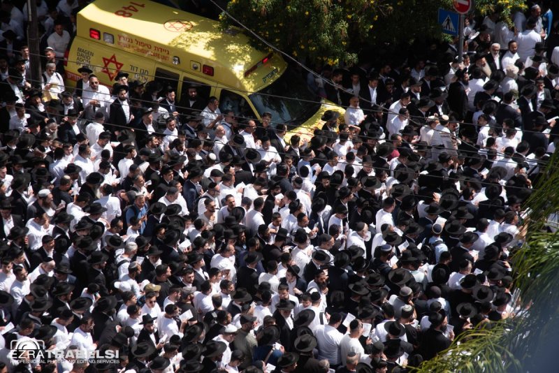 עזרא טרבלסי