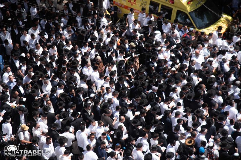 עזרא טרבלסי