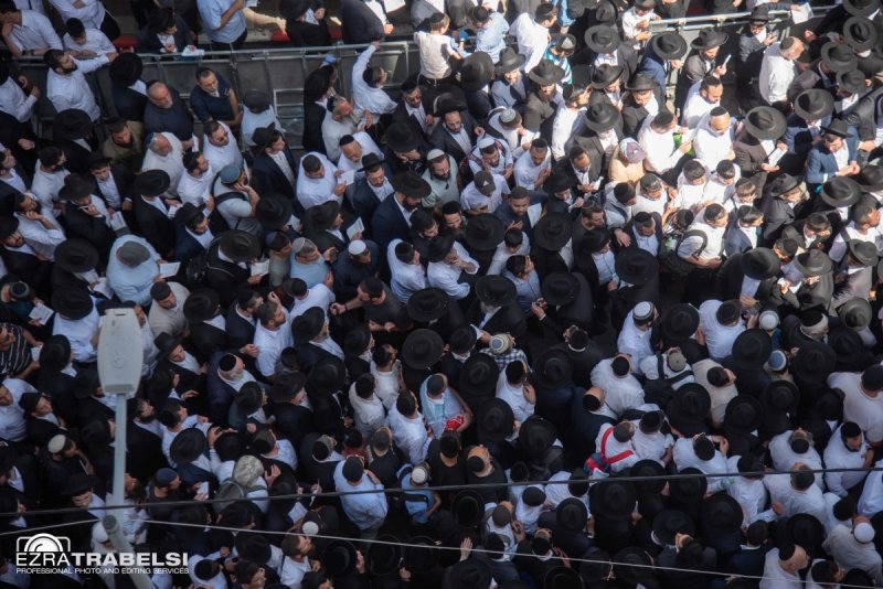 עזרא טרבלסי