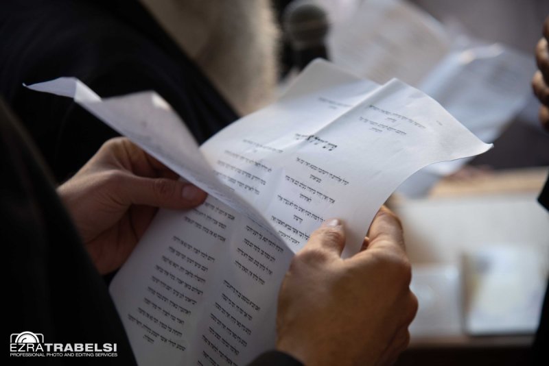 עזרא טרבלסי