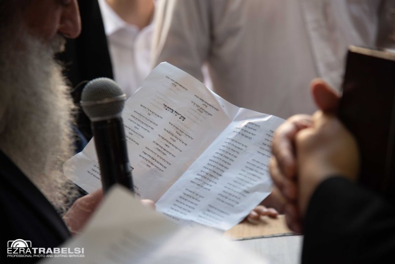 עזרא טרבלסי