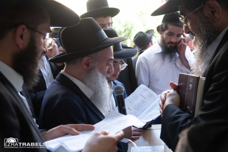 עזרא טרבלסי