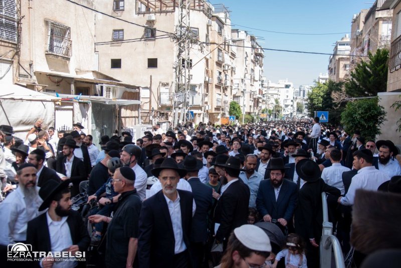 עזרא טרבלסי