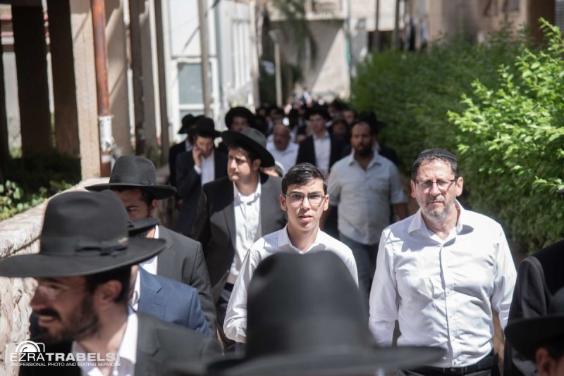 עזרא טרבלסי