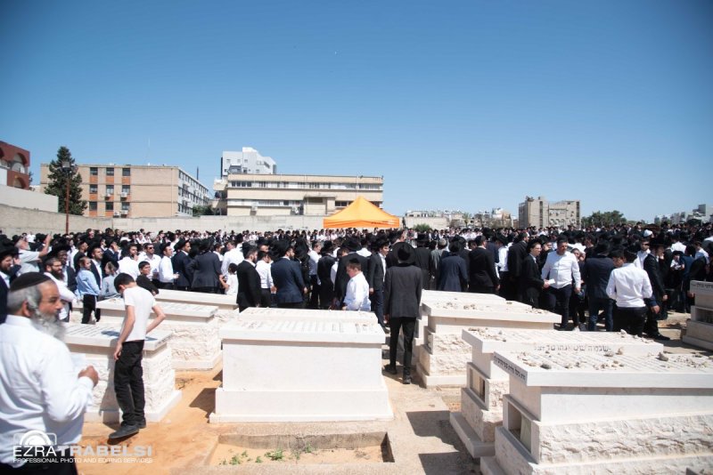 עזרא טרבלסי