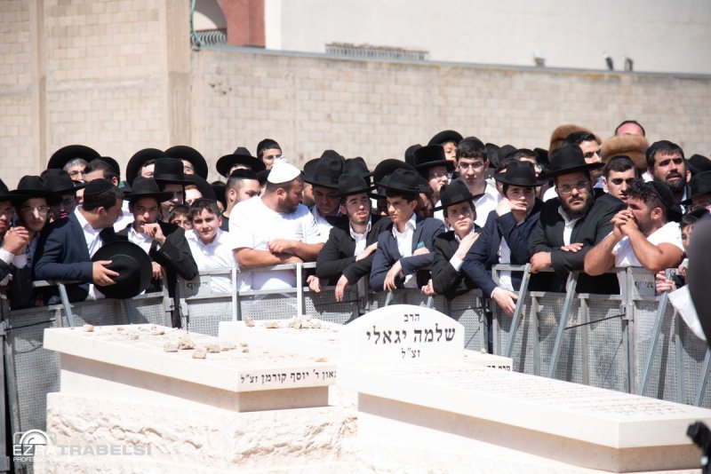 עזרא טרבלסי