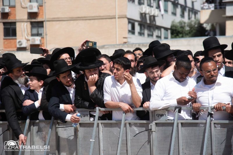 עזרא טרבלסי