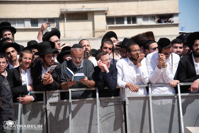 עזרא טרבלסי