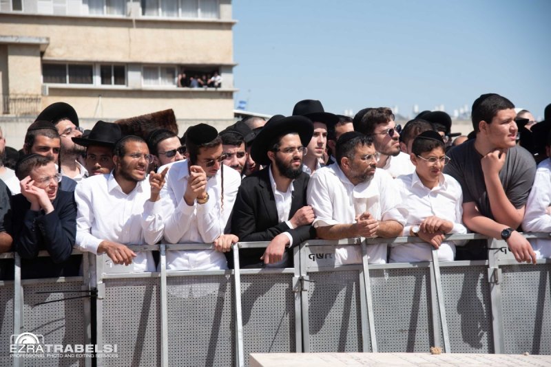 עזרא טרבלסי