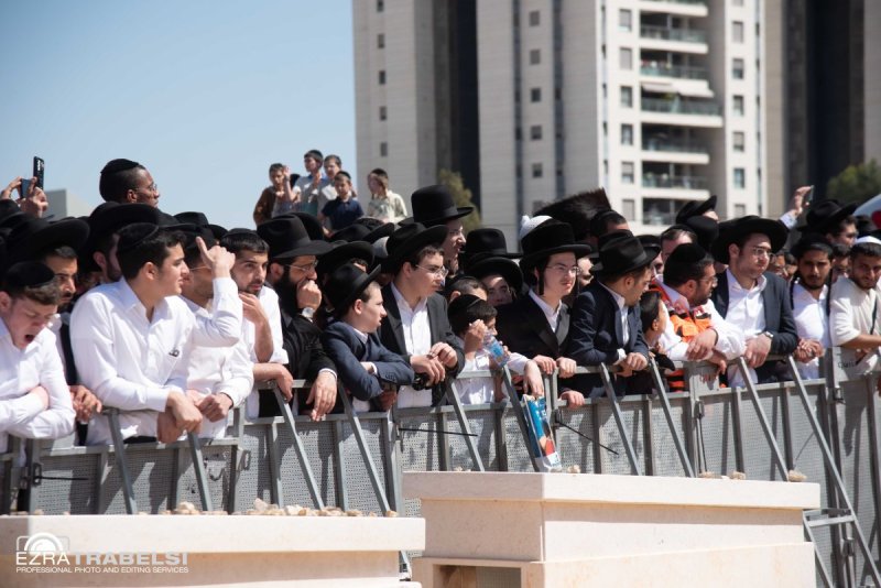 עזרא טרבלסי