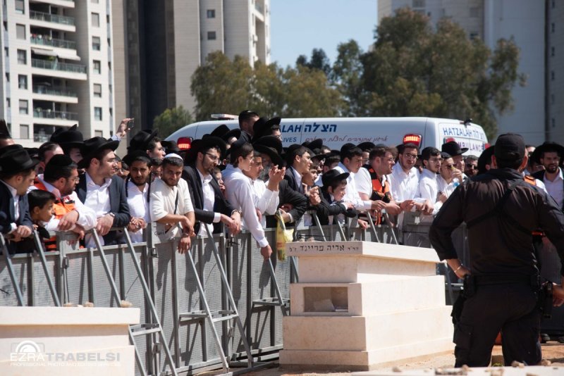 עזרא טרבלסי