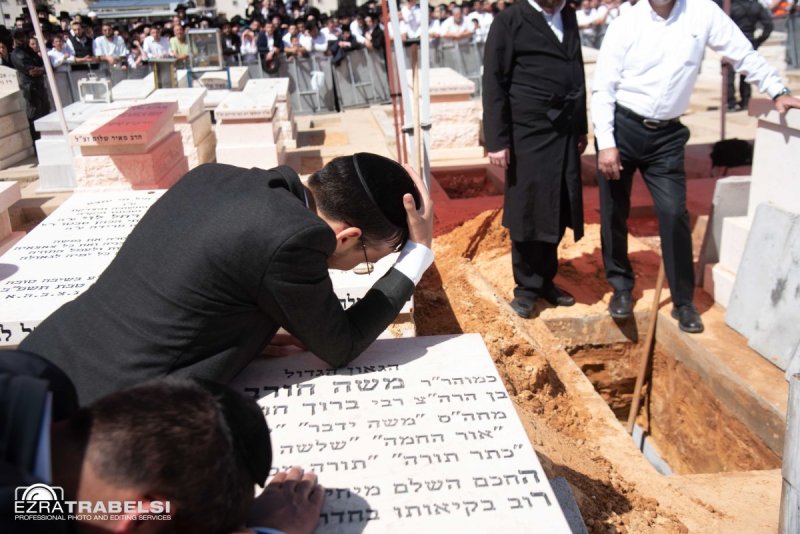 עזרא טרבלסי