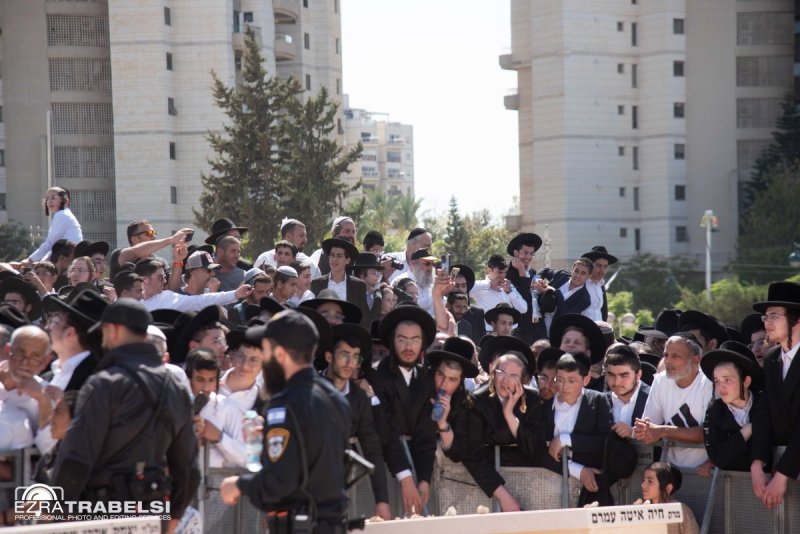 עזרא טרבלסי