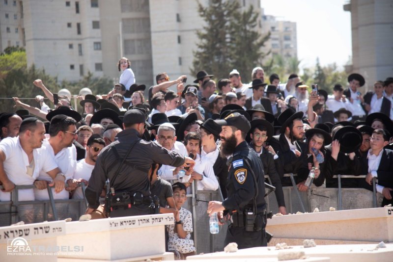 עזרא טרבלסי