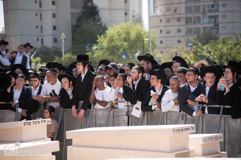 עזרא טרבלסי