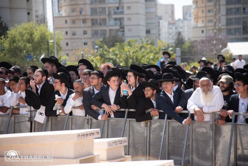 עזרא טרבלסי