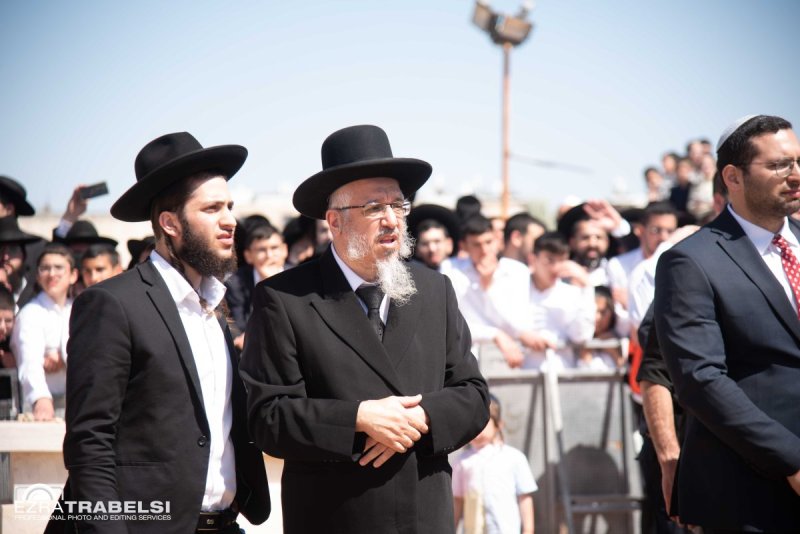 עזרא טרבלסי