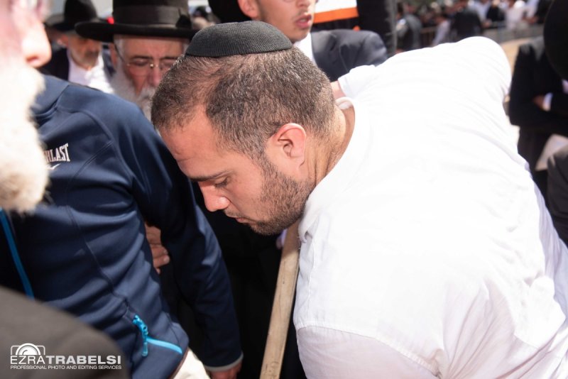 עזרא טרבלסי