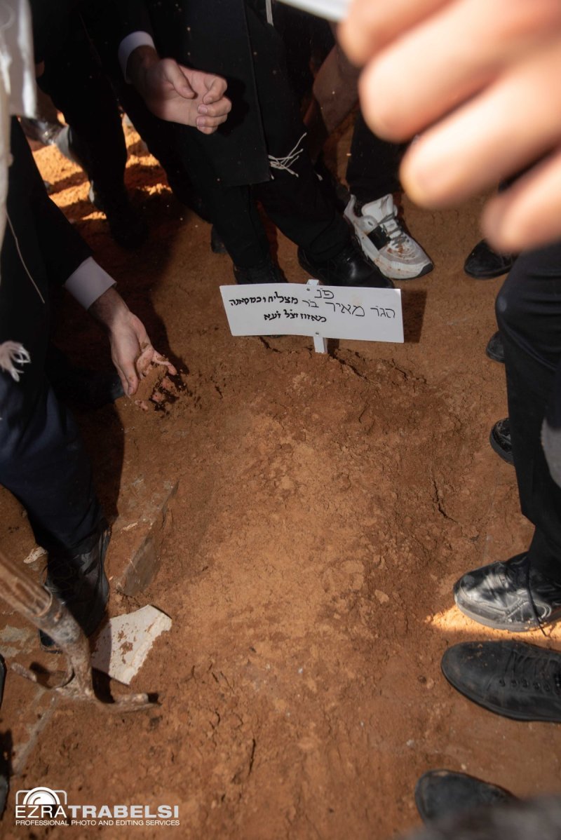 עזרא טרבלסי