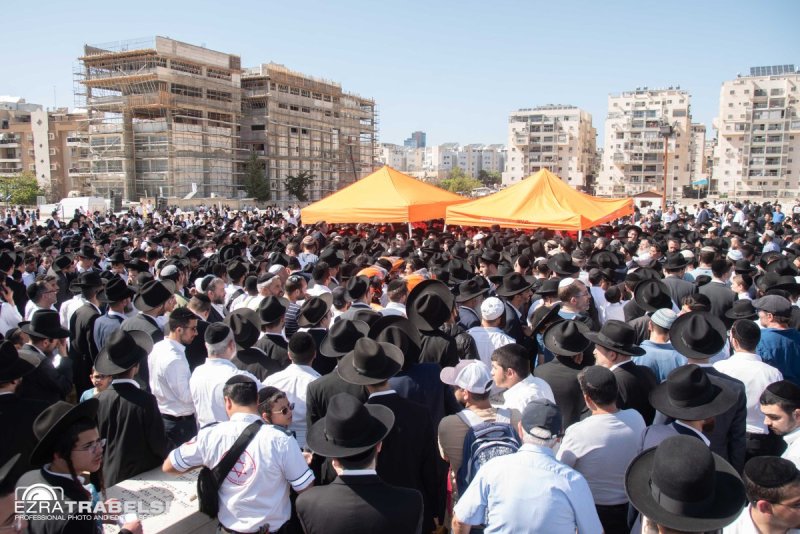 עזרא טרבלסי