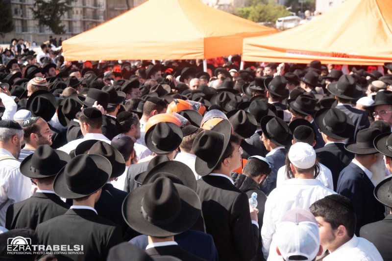 עזרא טרבלסי