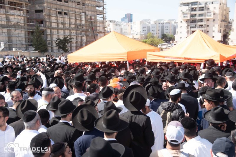 עזרא טרבלסי