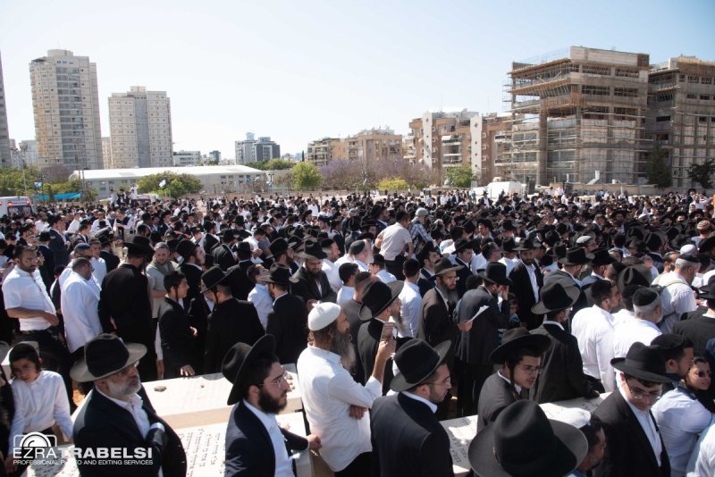 עזרא טרבלסי