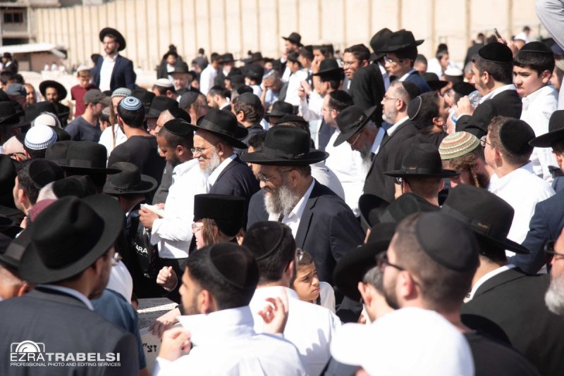 עזרא טרבלסי