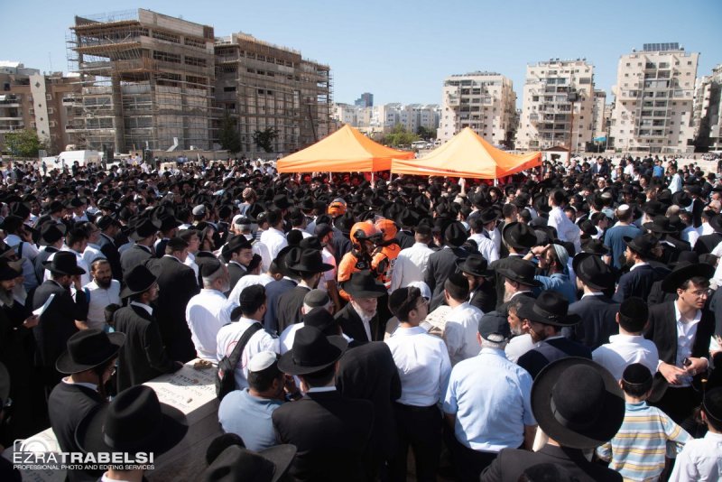 עזרא טרבלסי