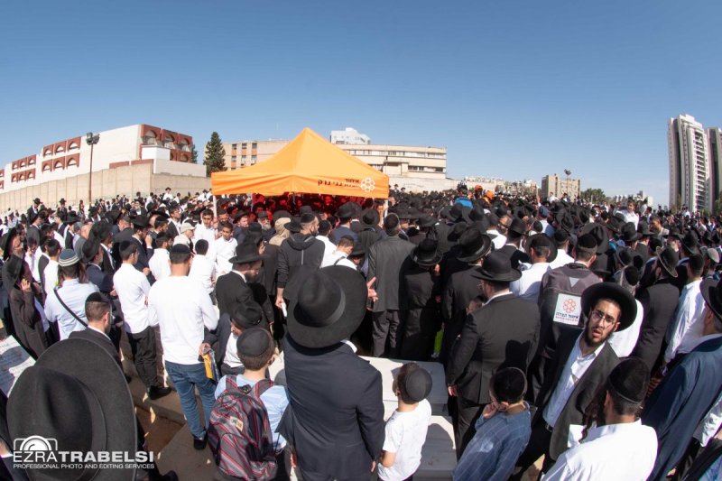 עזרא טרבלסי