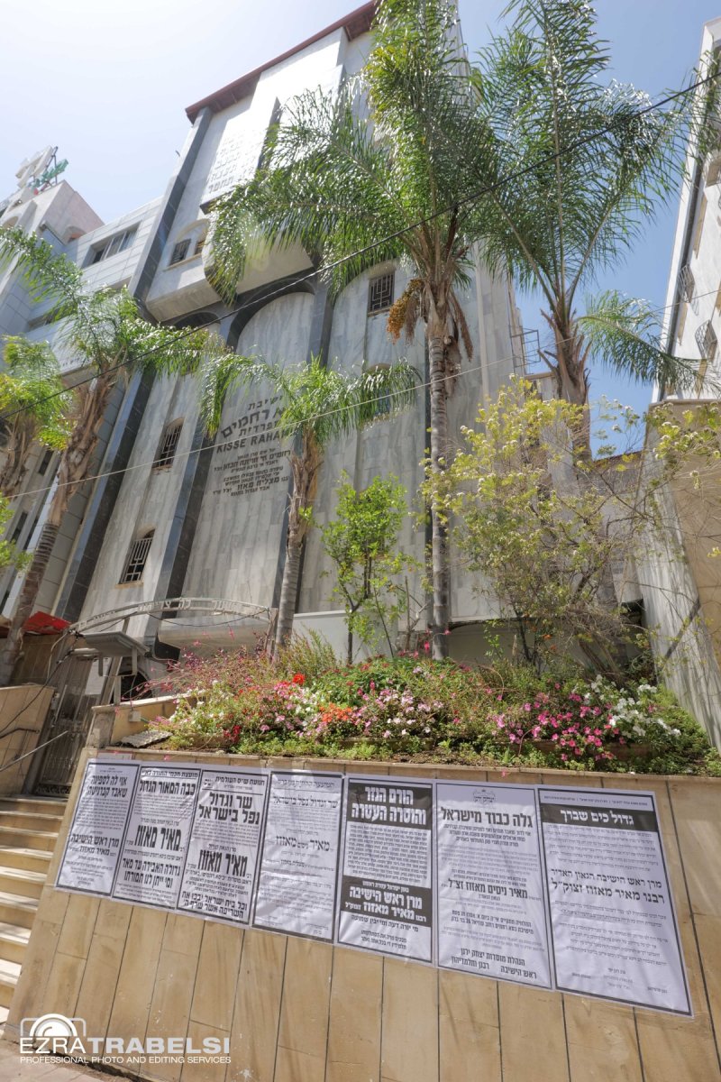 עזרא טרבלסי