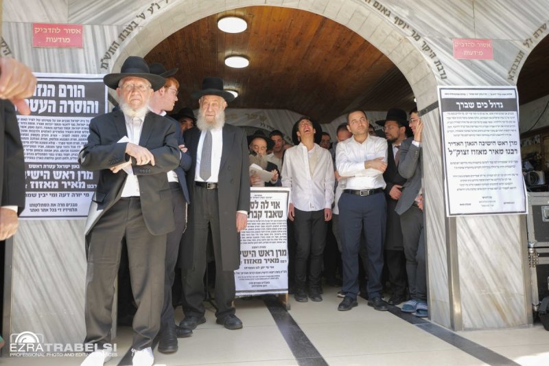 עזרא טרבלסי