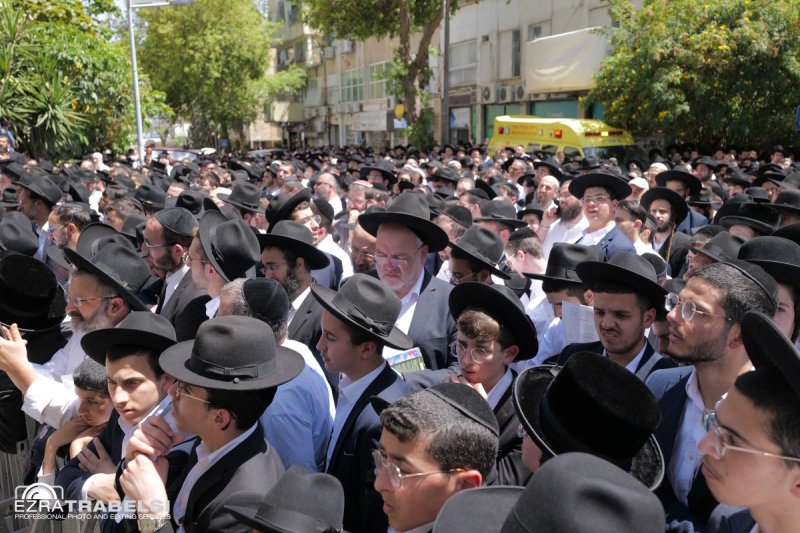 עזרא טרבלסי