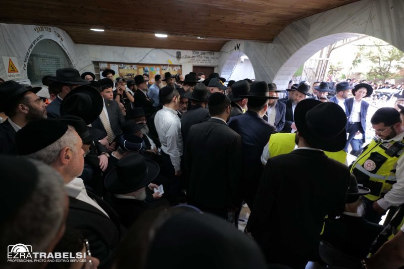 עזרא טרבלסי