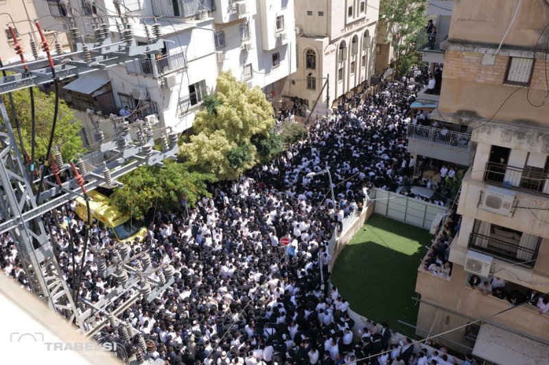 עזרא טרבלסי