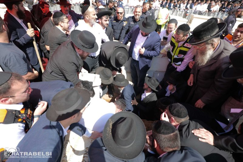 עזרא טרבלסי