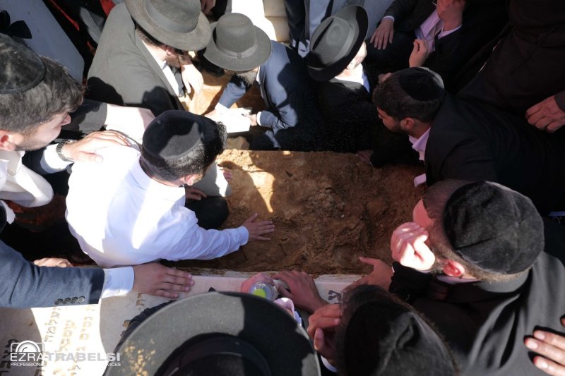 עזרא טרבלסי