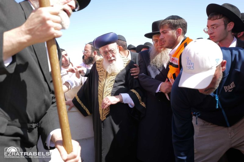 עזרא טרבלסי