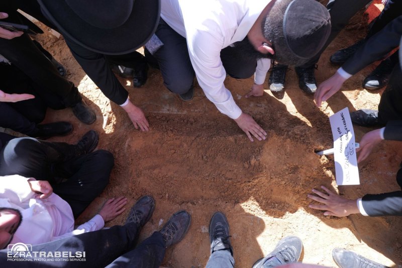 עזרא טרבלסי